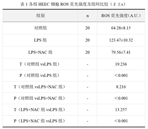 1765373748311491.png edc274f6-299e-4df2-b9c4-a603311a77f1.png